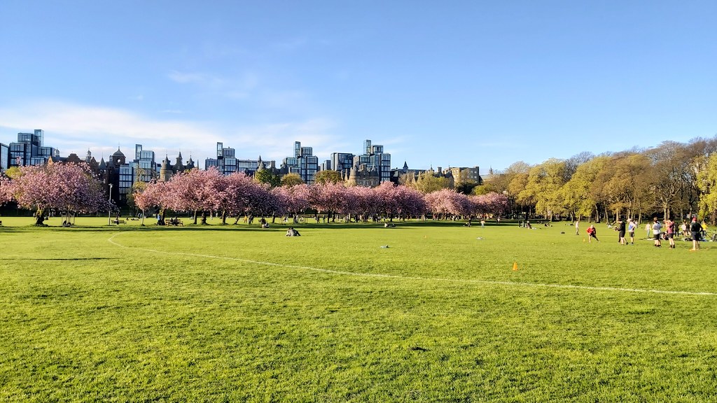 Company Ltd – Things I Would Do&nbsp;Differently